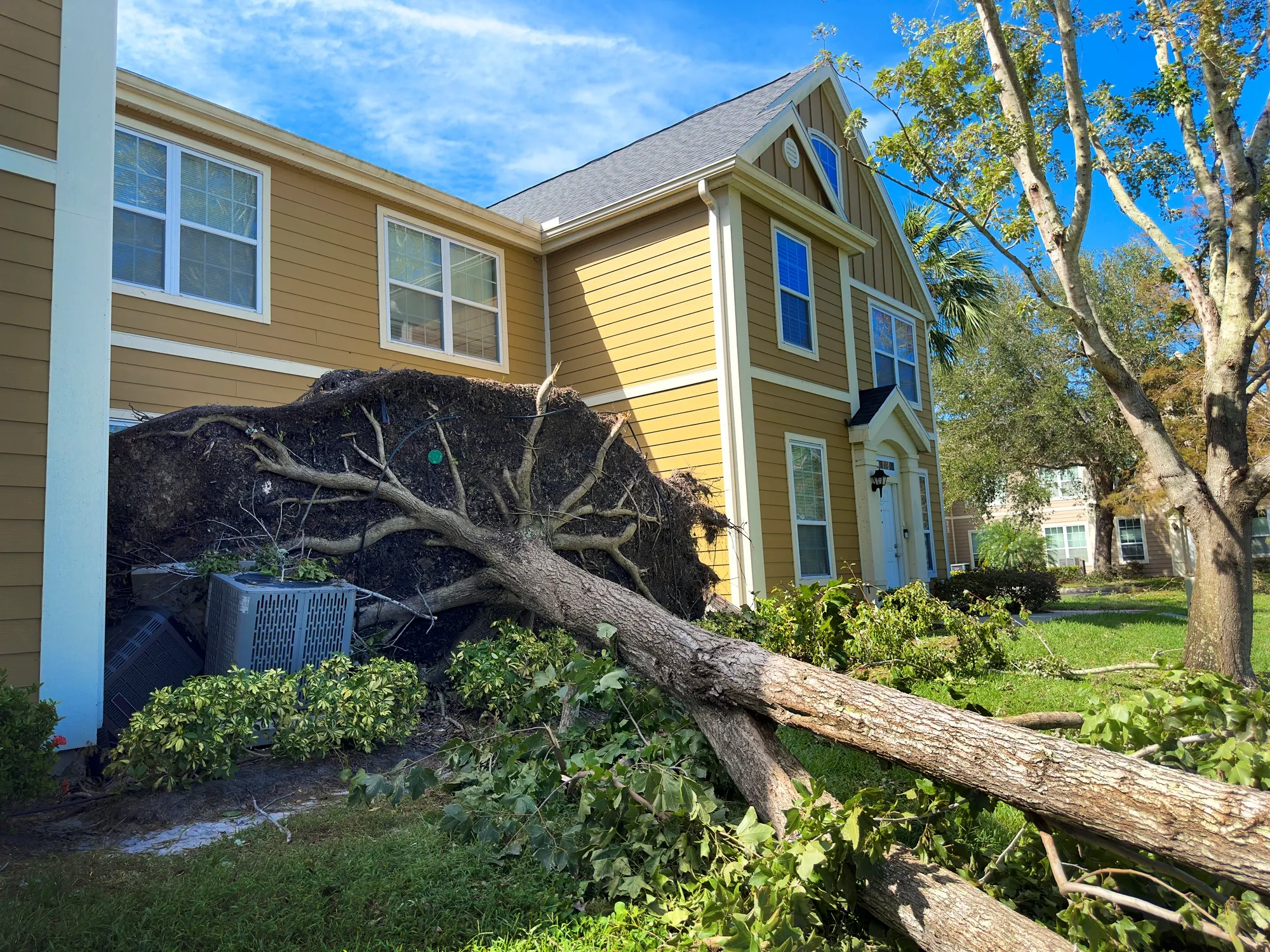 Storm damage